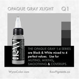 RAW Pigments - Opaque Gray Extra Light