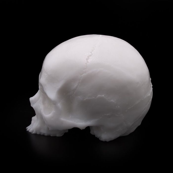 A Pound of Flesh - Yorick Skull